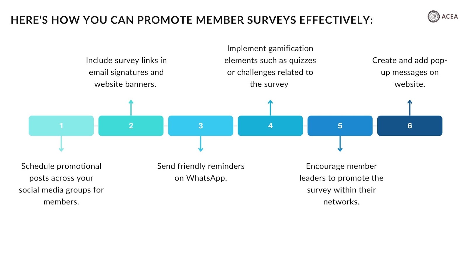 Promote member surveys effectively